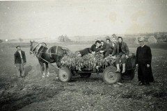 img20250225_10412434