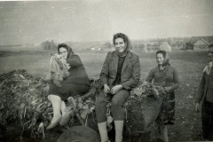 img20250225_10495150